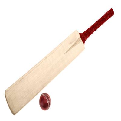 CRICKET BAT KILLER 